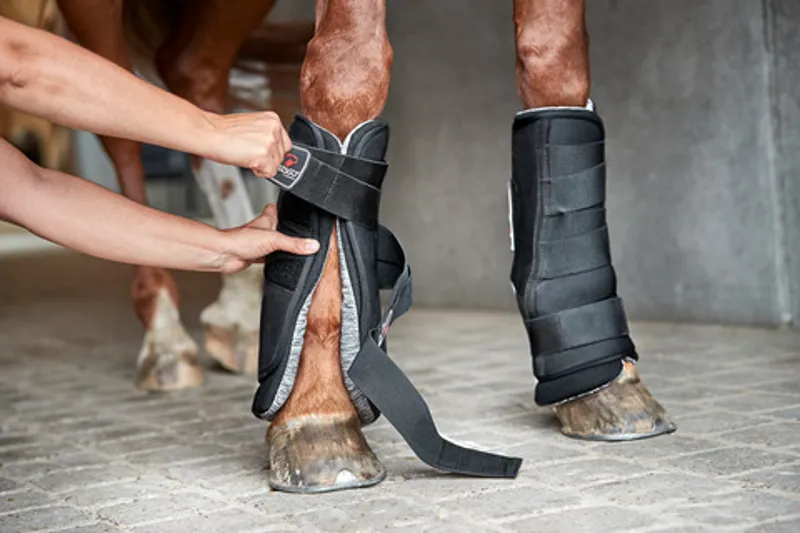 Catago boots new arrivals